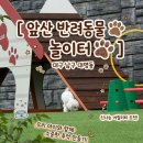 완주군 반려동물 놀이터 | 대구 앞산 반려동물 놀이터 ㅣ대구 가볼만한 곳 남구청 무료 반려견 놀이터