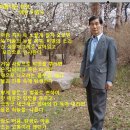 아름다운 탄생