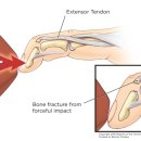 수지21세기의원 이미지