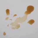 포켓애니멀 이미지