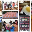 장안골영농조합법인 이미지