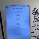 제주야놀자 | [제주여행] 제주 스누피가든 방문후기