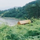 고사리맨션