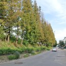 굴다리보신탕 이미지