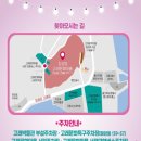 제6회 아카펠라 페스티벌 | 🌸 울산 장생포 수국페스티벌 2025｜일정·공연·체험· 리얼 가이드 주차시 꼭 확인할것!