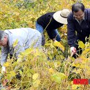 평곡4리 이미지