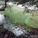 꽃피는무릉도원