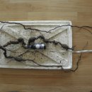 광산구-025 이미지