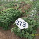 성기농장 이미지