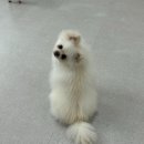 하울팟 위례점 이미지