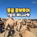 미주소프트 | 몽골 여행 중부투어 6박 7일 1일차 미니고비, 날씨 및 준비물, 훈누투어 후기