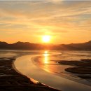 순천만풍경 이미지