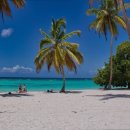 리버스케치 이미지