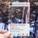강릉제일공인중개사사무소 네이버블로그