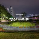 부산기구 | 부산 밤 데이트 산책하기 좋은 곳 동래 온천천 산책 및 놀거리 운동기구 후기 및 주차정보