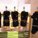 부산강서경찰서 이미지