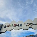 더윌 | 레고랜드 여름 방문 솔직 후기 (대기 없음 대신 더위 지옥)