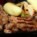 오늘의 강아지 이미지