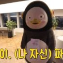 세심헬스 이미지