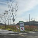 청려원 반려동물 센터 | 청주 반려동물 보호센터 유기견봉사 후기 (보호소 이전 후!)