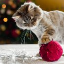 다올동물병원 이미지