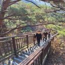용마산 자락길 코스 네이버블로그