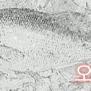 팔용당저수지 이미지