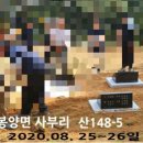 대구장의사