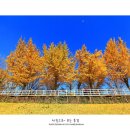호두선생 네이버블로그