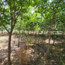 거제면사무소 이미지