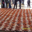 죽변항 이미지