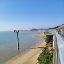 송림목장 | 충남 서천 여행 -[ 장항 스카이워크] - 풍경, 입장료, 송림산림욕장과 맥문동, 카페 후기