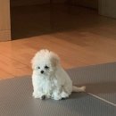 소심 이미지