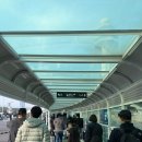(주) 제일렌트카 | 제주도 여행기간 편한 이동수단 렌트카, 제주도 특별한 렌트카 이용 후기🚗