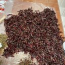 애모꽃게장 이미지