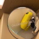 효창제2경로당 | 용산/누워서하는 효창공원다이어트 센터 칼로리바다이어트효창웰니스점 후기