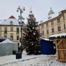 보헤미안 민박 | 🇨🇿🎄🎅🏼 2025 체코 프라하 크리스마스 마켓 총정리｜마켓 기간·위치·꿀팁 🎄🎅🏼🇨🇿