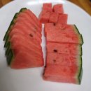 따라해본 수박자르기 이미지