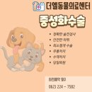 동물사랑세상 의료센터 이미지