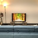 아름다운 애견 이미지