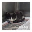 최종주동물병원 이미지