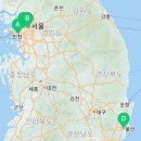 도그마루 강아지 고양이 마포용산점 이미지