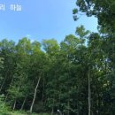 대성상회 이미지