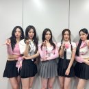 데이지민
