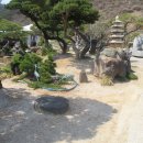 푸른꽃농원 - 고양시 일산동구 식사로 3 | 푸른꽃농원