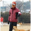 비상초등학교 이미지