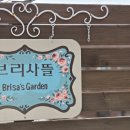 영도의 자연과 함께 일상에서의 ’탈피’ | ​부산 영도 체험 브리사뜰, 나만을 위한 아로마테라피 맞춤오일 블렌딩 후기