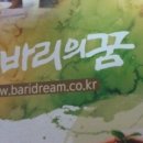 [에코다움] 청시체험후기