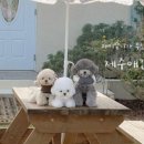 13월봄 네이버블로그
