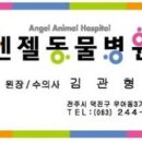 전주 엔젤동물병원